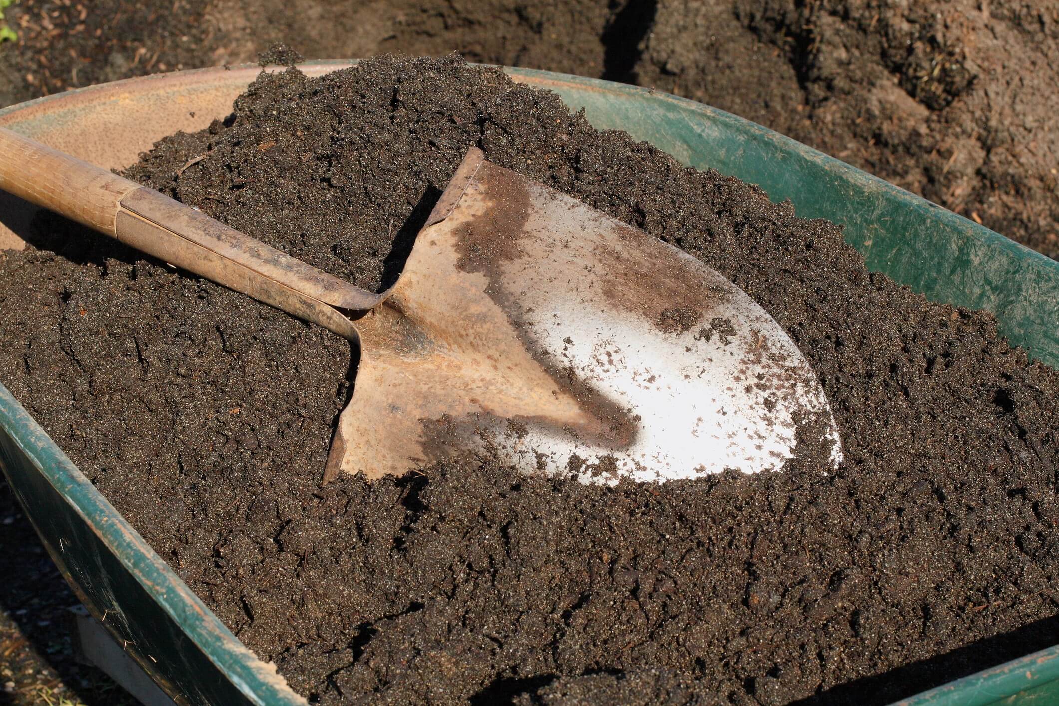 A rusty garden shovel resting on top of topsoil in a rusty green wheelbarrow